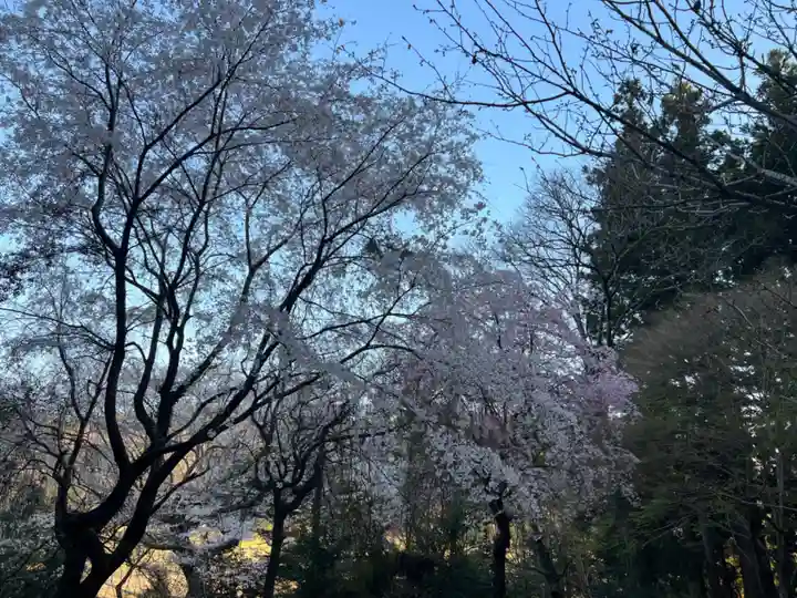 大宮温泉神社(栃木県)