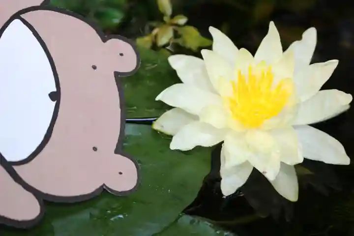 くまくま神社(導きの社 熊野町熊野神社)(東京都)