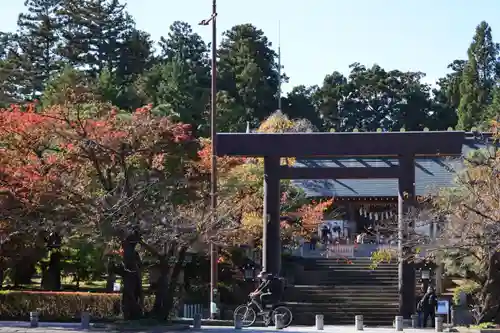 開成山大神宮の鳥居