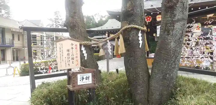 櫻木神社(千葉県)