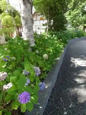 西野神社のその他建物