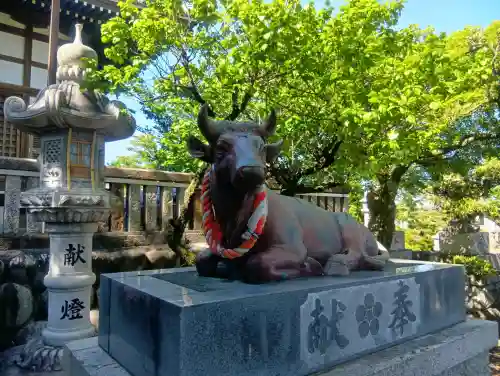 天神神社（柳津天神神社）の{uncategorized: "未分類", other: "その他", undefined: "問題あり", building: "その他建物", grave: "お墓", sacred_gate: "鳥居", guardian: "狛犬", statue: "像", buddha: "仏像", history: "歴史", nature: "自然", garden: "庭園", animal: "動物", pagoda: "塔", temizu: "手水舎", mountain_gate: "山門・神門", sanctuary: "本殿・本堂", subordinate: "末社・摂社", art: "芸術", scenery: "景色", jizo: "地蔵", ema: "絵馬", goshuin: "御朱印", omikuji: "おみくじ", items: "授与品その他", amulet: "お守り", goshuincho: "御朱印帳", eats: "食事", festival: "お祭り", votive_dance: "神楽", shichigosan: "七五三参", wedding: "結婚式", experience: "体験その他", initially: "初詣", around: "周辺", anti_infection: "感染症対策"}