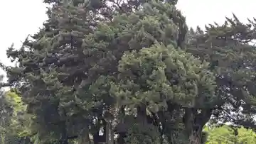 荒魂神社(香川県)