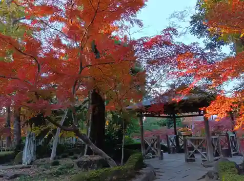 越ヶ谷久伊豆神社の庭園