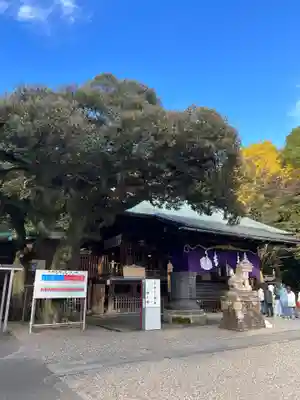 宇都宮二荒山神社(栃木県)