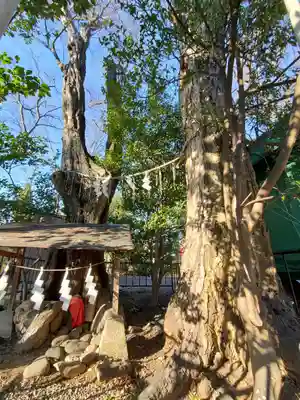 日吉神社のその他建物