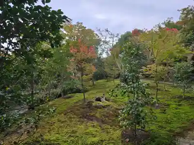 霊鑑寺門跡(京都府)