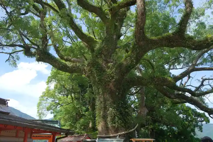 熊野那智大社の自然