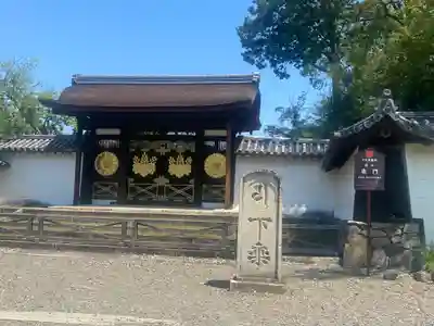 醍醐寺(京都府)