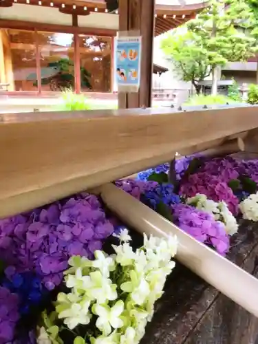 鳩森八幡神社の手水舎