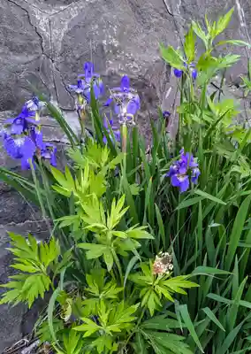 龍宮神社(北海道)