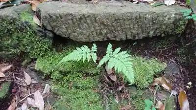 金刀比羅神社（琴平神社）(静岡県)