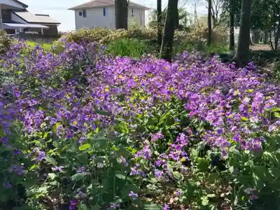 胸形神社(栃木県)