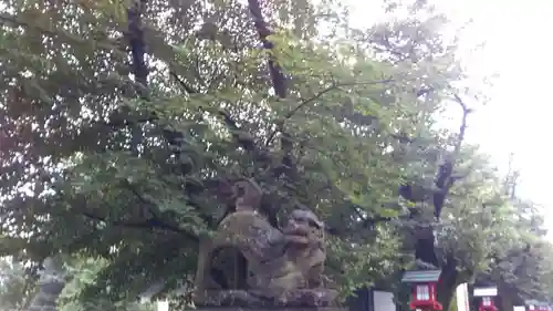 鷲宮神社の狛犬