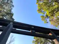 明治神宮の鳥居