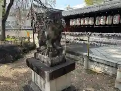 縣神社の御朱印