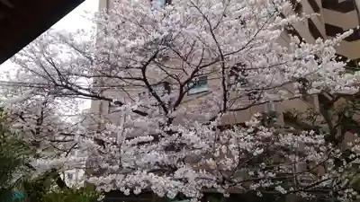 秋葉神社(東京都)