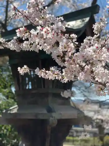 関善光寺の{uncategorized: "未分類", other: "その他", undefined: "問題あり", building: "その他建物", grave: "お墓", sacred_gate: "鳥居", guardian: "狛犬", statue: "像", buddha: "仏像", history: "歴史", nature: "自然", garden: "庭園", animal: "動物", pagoda: "塔", temizu: "手水舎", mountain_gate: "山門・神門", sanctuary: "本殿・本堂", subordinate: "末社・摂社", art: "芸術", scenery: "景色", jizo: "地蔵", ema: "絵馬", goshuin: "御朱印", omikuji: "おみくじ", items: "授与品その他", amulet: "お守り", goshuincho: "御朱印帳", eats: "食事", festival: "お祭り", votive_dance: "神楽", shichigosan: "七五三参", wedding: "結婚式", experience: "体験その他", initially: "初詣", around: "周辺", anti_infection: "感染症対策"}