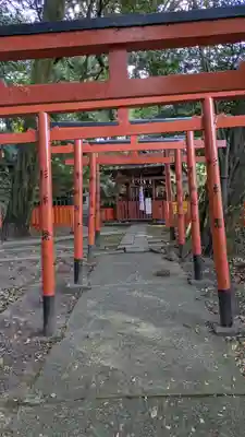 鳥居川御霊神社(滋賀県)