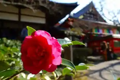 毘沙門堂門跡のその他建物