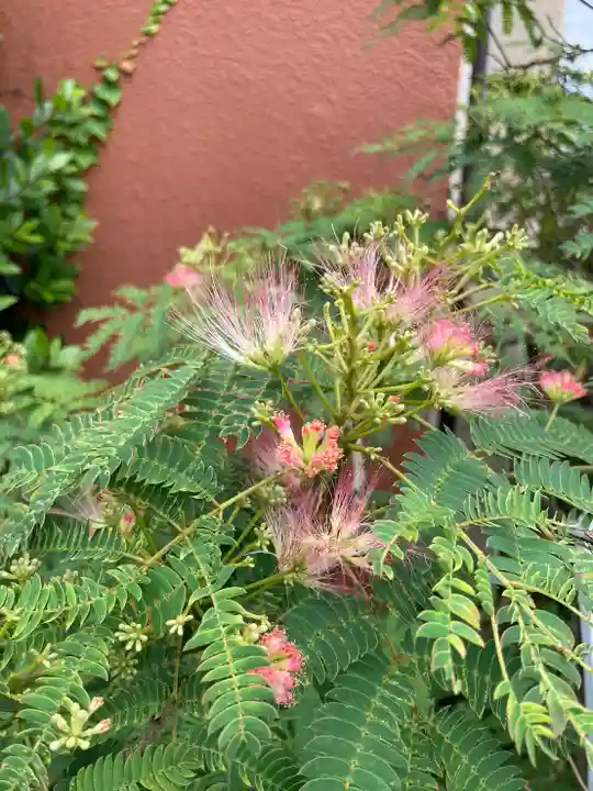 西松江弁財天(兵庫県)