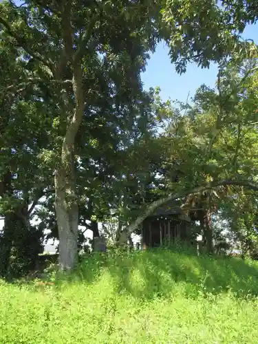 神明神社(千葉県)