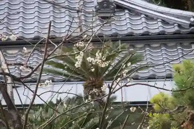 福仙寺(山口県)