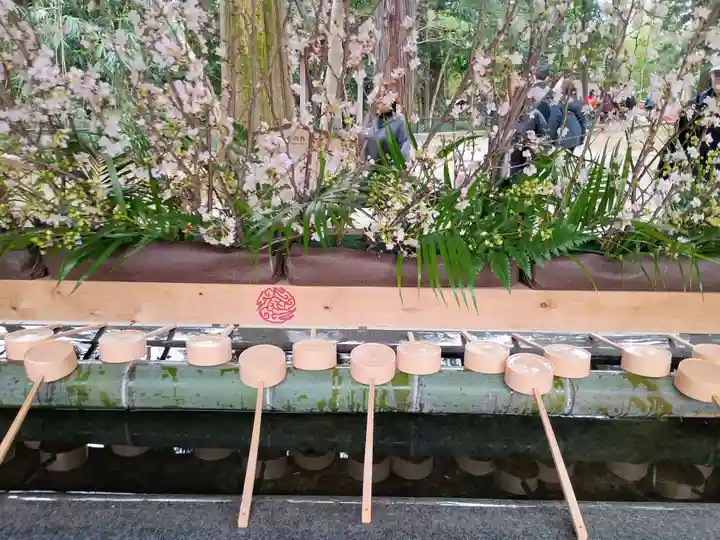 武蔵一宮氷川神社(埼玉県)