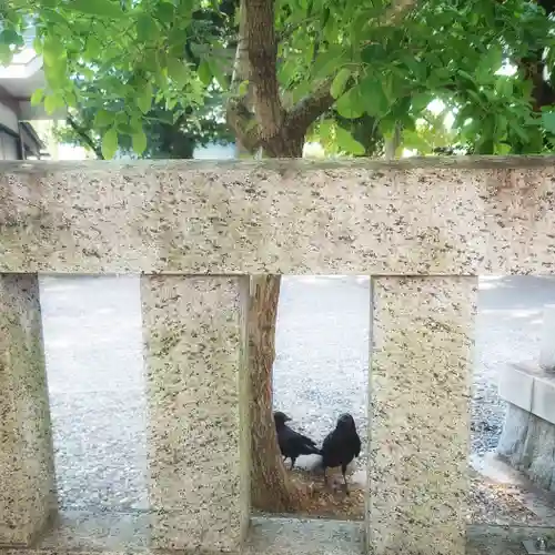 金神社の動物