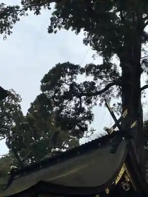 鹿島神宮(茨城県)