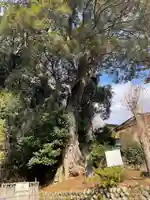 日枝神社(静岡県)