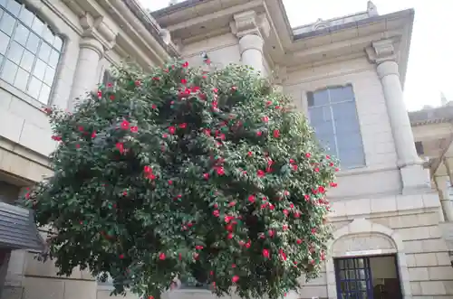 築地本願寺（本願寺築地別院）の本殿・本堂