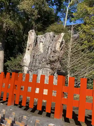 鶴岡八幡宮の自然