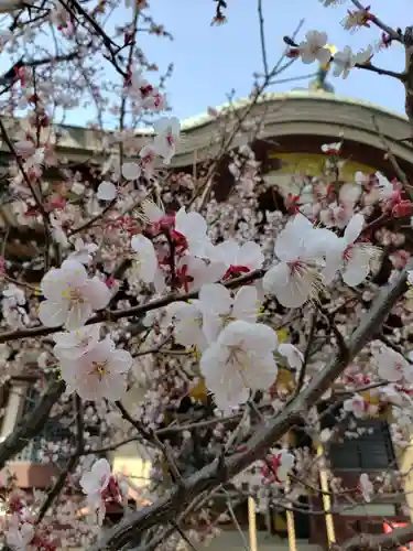 諏訪神社(東京都)