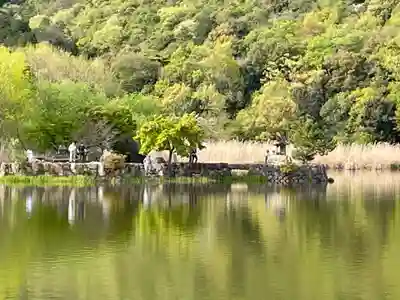 観音島(京都府)