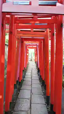 根津神社の鳥居
