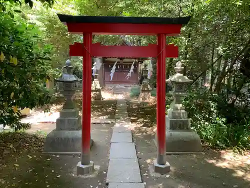 前玉神社(埼玉県)