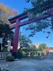 亀戸天神社の鳥居