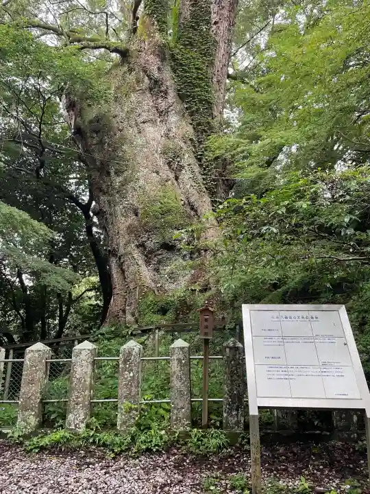 柞原八幡宮(大分県)