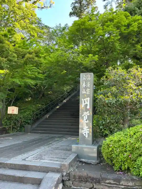 円覚寺の{uncategorized: "未分類", other: "その他", undefined: "問題あり", building: "その他建物", grave: "お墓", sacred_gate: "鳥居", guardian: "狛犬", statue: "像", buddha: "仏像", history: "歴史", nature: "自然", garden: "庭園", animal: "動物", pagoda: "塔", temizu: "手水舎", mountain_gate: "山門・神門", sanctuary: "本殿・本堂", subordinate: "末社・摂社", art: "芸術", scenery: "景色", jizo: "地蔵", ema: "絵馬", goshuin: "御朱印", omikuji: "おみくじ", items: "授与品その他", amulet: "お守り", goshuincho: "御朱印帳", eats: "食事", festival: "お祭り", votive_dance: "神楽", shichigosan: "七五三参", wedding: "結婚式", experience: "体験その他", initially: "初詣", around: "周辺", anti_infection: "感染症対策"}