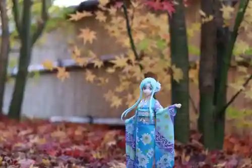 正寿院(京都府)