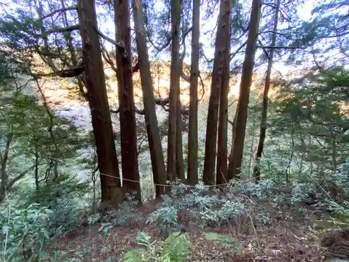天岩戸神社(宮崎県)
