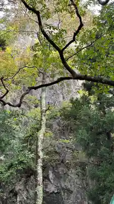厳竜神社(岩手県)