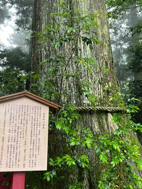箱根神社(神奈川県)