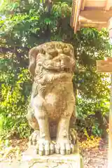 今熊野神社の狛犬