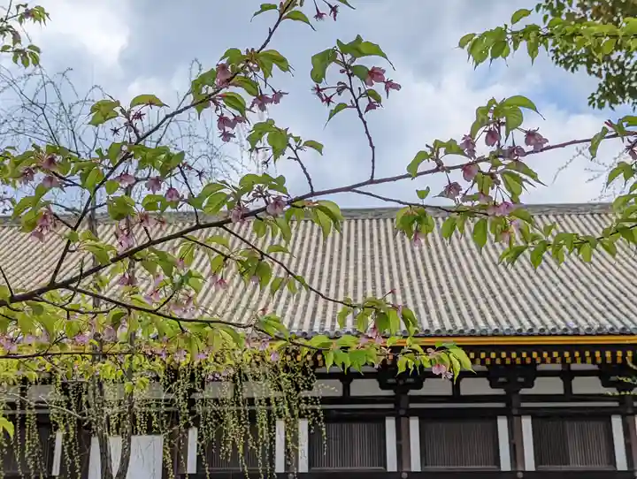 蓮華王院(三十三間堂)(京都府)