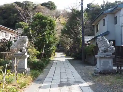 五所神社の狛犬