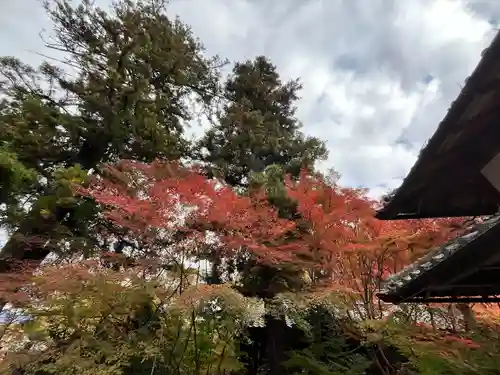 鍬山神社(京都府)