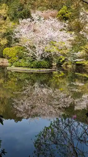 龍安寺(京都府)