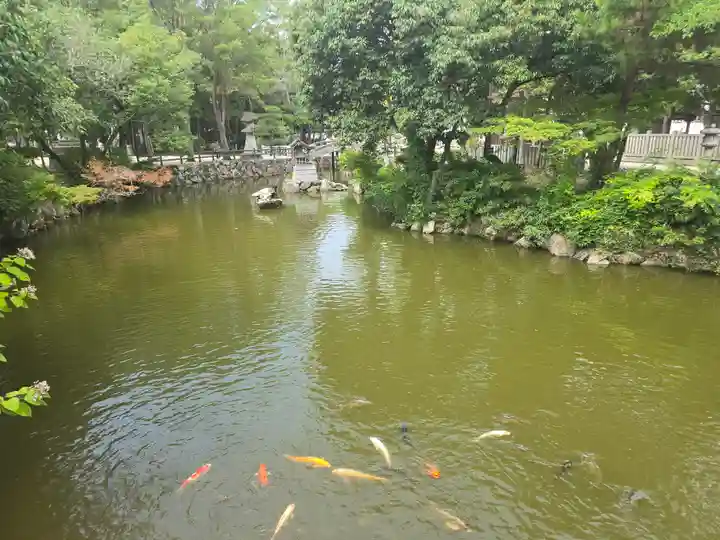 伊弉諾神宮(兵庫県)
